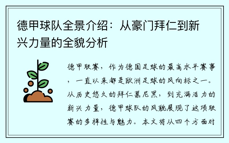 德甲球队全景介绍：从豪门拜仁到新兴力量的全貌分析